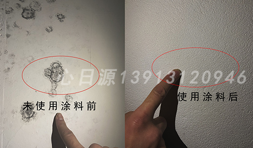 地下室霉菌前后對(duì)比圖