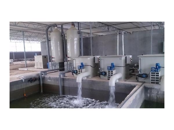 循環(huán)水除垢器，選沃肯電子除垢儀