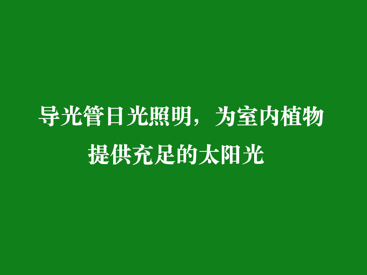 導(dǎo)光管日光照明，為室內(nèi)植物提供充足的太陽(yáng)光